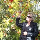 ���� �������, ������ - ��������� 13 ������� 2015 � ������ ���� ����������