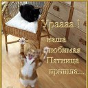 ���� Alex, ������� - ��������� 22 ��� 2015 � ������ ������ ��������