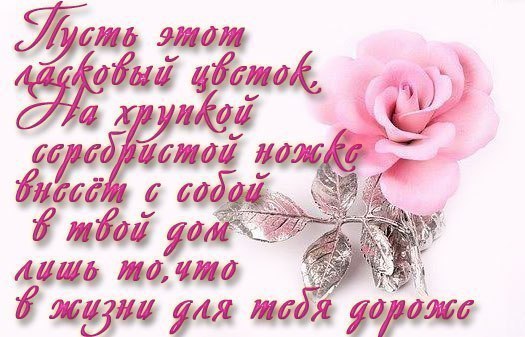~Dasha~ - 3  2015  04:12