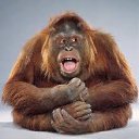 ���� �������, ��������, 58 ��� - ��������� 6 ���� 2015 � ������ ������ ��������