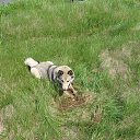 ���� ������, �����, 44 ���� - ��������� 30 ���� 2015 � ������ �2015 �.�