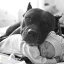 ���� �����, ����������, 37 ��� - ��������� 13 �������� 2015 � ������ ����