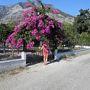 ���� �������, ������������ - ��������� 4 �������� 2015 � ������ ������� 2015�