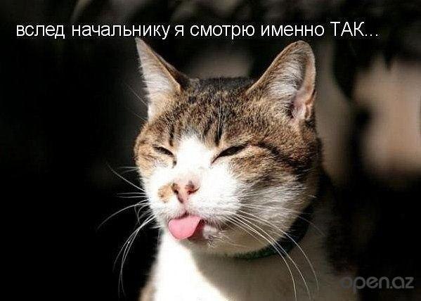 ����� �������� - 25 ���� 2015 � 09:16