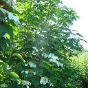  ! !     -    60 !  !    