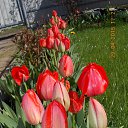 ���� ������, �����������, 64 ���� - ��������� 13 ������� 2015 � ������ ���� ����������