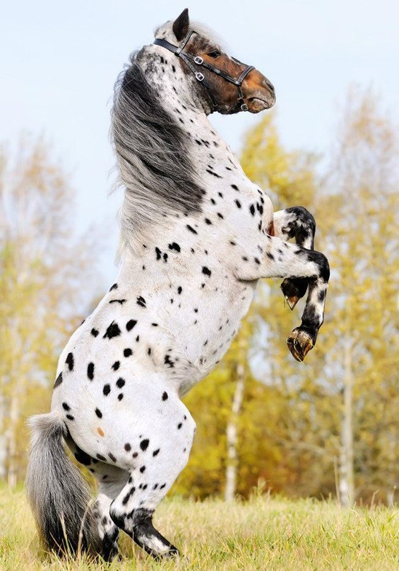 Живая природа - 4 мая 2015 в 00:05