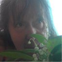 ���� ������))))))))), �����-��������� - ��������� 1 ���� 2015 � ������ ���� ����������