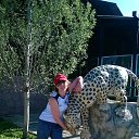 ���� �����, �������, 50 ��� - ��������� 11 ���� 2015 � ������ ���� ����������