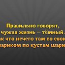 ���� �����, ����� - ��������� 14 �������� 2015 � ������ ������ ��������