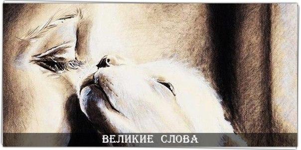 Наше сердце — удивительный орган! Оно умеет не только перекачивать кровь, но еще танцевать от ...