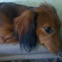 ���� Mrs, ���� - ��������� 10 ���� 2015 � ������ ���� ����������