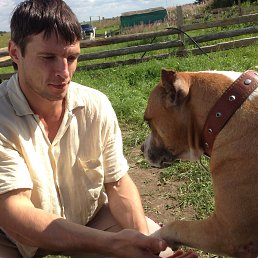 ���� �������, �����-���������, 44 ���� - ��������� 7 ���� 2015