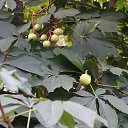 �������. �� ������� ���� ����������