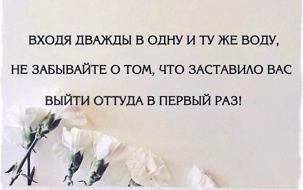 , , . - 16  2015  12:55