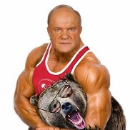 ����, 66 ���, ���