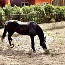 ���� ������, ��������, 62 ���� - ��������� 17 ���� 2015 � ������ ���� ����������