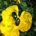 ���� ���������, ������� - ��������� 15 ���� 2015 � ������ ���� ����������