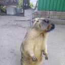 ���� ��������, �������, 55 ��� - ��������� 26 ���� 2015 � ������ ������� ���..�