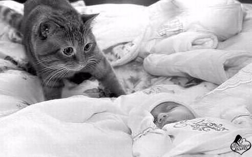 ! -   .      !     ! ...