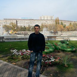 Lion, ������, 50 ���