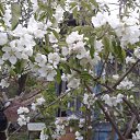 ���� Angelika M, ����������, 64 ���� - ��������� 10 ������� 2015 � ������ �����, ����, ��������
