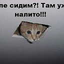 ���� �����, �����������, 47 ��� - ��������� 30 ���� 2015 � ������ ���������
