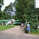 ���� ������, ���� - ��������� 11 ������� 2015 � ������ ���� ����������