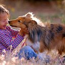 ���� �����, �����-��������� - ��������� 18 ���� 2015 � ������ ���� ����������