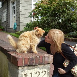 Tata, ������