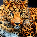  Elena....,  -  23  2015    