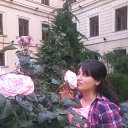 ���� Anuli, ������� - ��������� 22 ���� 2015 � ������ ���� ����������