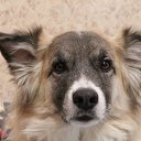 ���� ���������, ������, 75 ��� - ��������� 26 ������� 2015 � ������ ���� ����������