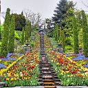 ���� ����, ������ - ��������� 19 ��� 2015 � ������ ���� ����� ��������