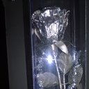 ���� ����, ���-��, 62 ���� - ��������� 29 ���� 2015 � ������ ������ ��������