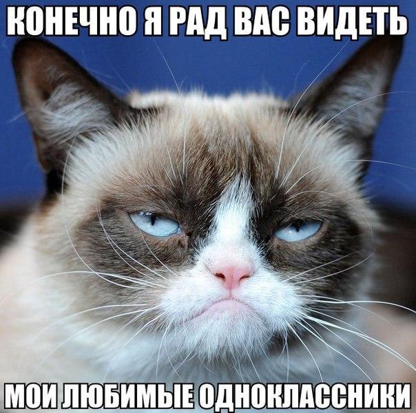    :D - 4  2015  02:03