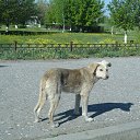 ���� ����, ������� - ��������� 18 ���� 2015 � ������ ������ �����