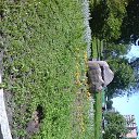 ���� ����������, ���� - ��������� 9 ���� 2015 � ������ ������ ��������