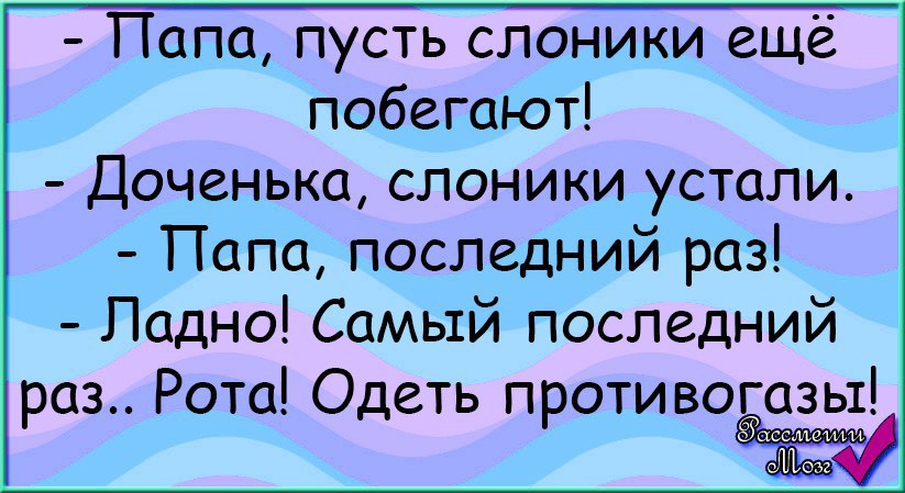 Пусть папа. Папа пусть слоники еще побегают. Анекдот папа пусть слоники побегают. Папа, папа, а пусть слоники побегают!. Хочу чтобы слоники побегали.