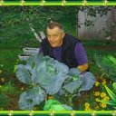 ���� �����, ������, 63 ���� - ��������� 26 ���� 2015 � ������ ���� ����������