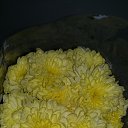 ���� ��������, ������ - ��������� 1 �������� 2015 � ������ ������ ��������