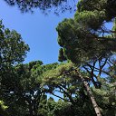  , , 38  -  10  2015    2015