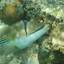 ���� �����, ������, 43 ���� - ��������� 25 ���� 2015 � ������ �������� ����