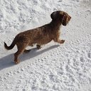 ���� �������, ������������, 50 ��� - ��������� 8 �������� 2015 � ������ ���� ����������