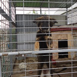 ����, ��������, 24 ����