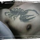�������� ����������� ��� ���� �� ���� �����... �� ������� ���� ����������