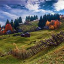 ���� ����, ������ - ��������� 19 ��� 2015 � ������ ���� ����� ��������