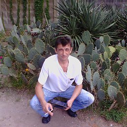 ��������, �����, 63 ����