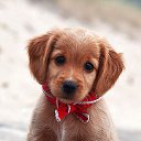 ���� O.l., �����, 59 ��� - ��������� 4 ���� 2015 � ������ ���� ����������