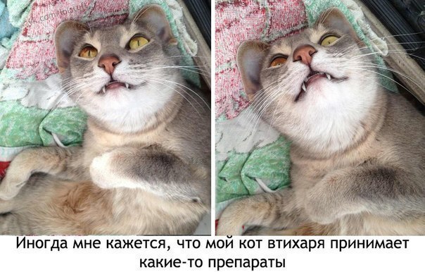    - 9  2015  03:14